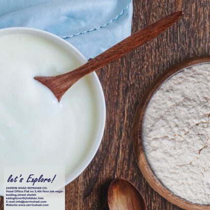 Ranch seasoning Powder