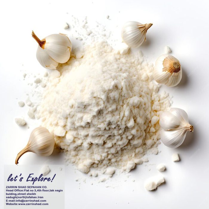 Yogurt & Shallot Powder