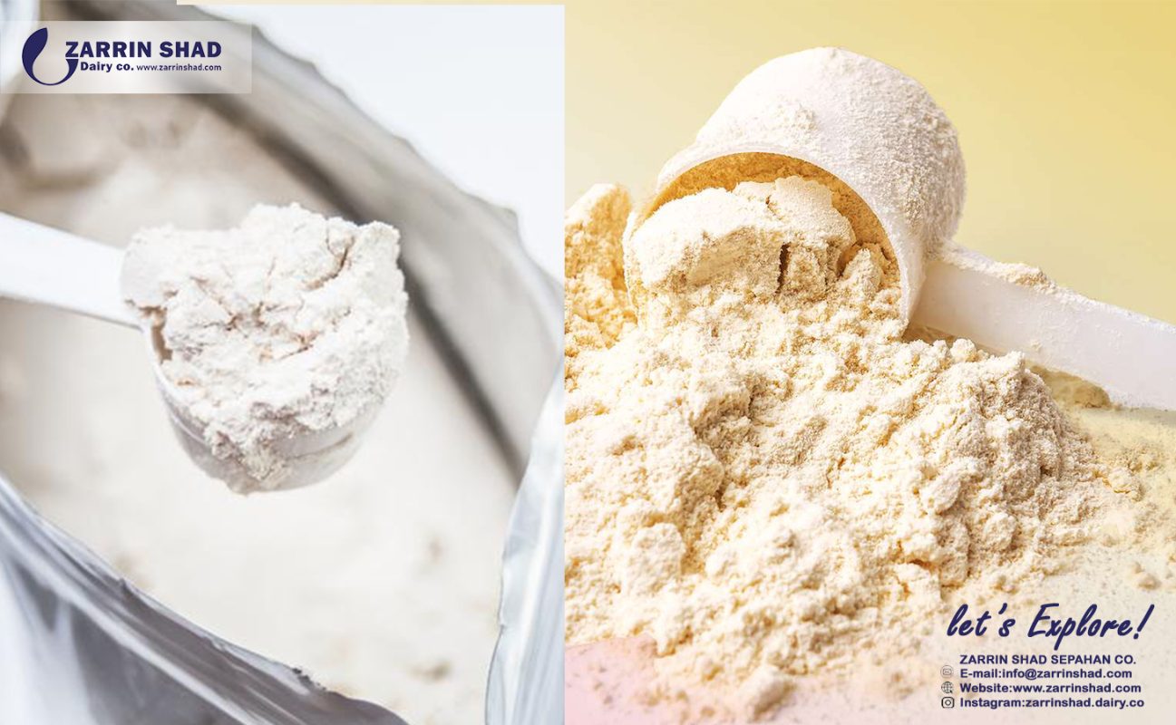 MPC vs Whey: A Comparative Look at Milk-Derived Proteins