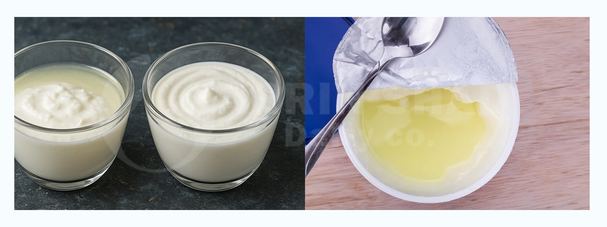The Science Behind Whey Separation