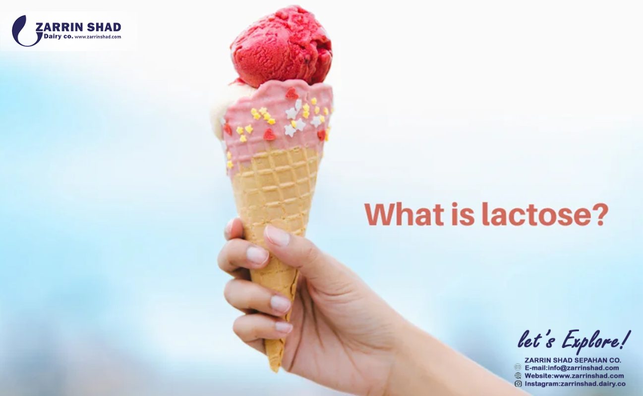What Is Lactose and What will do to your body?