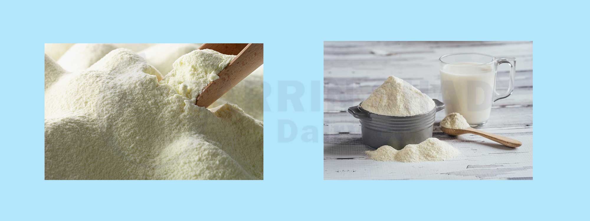 Full Cream Milk Powder